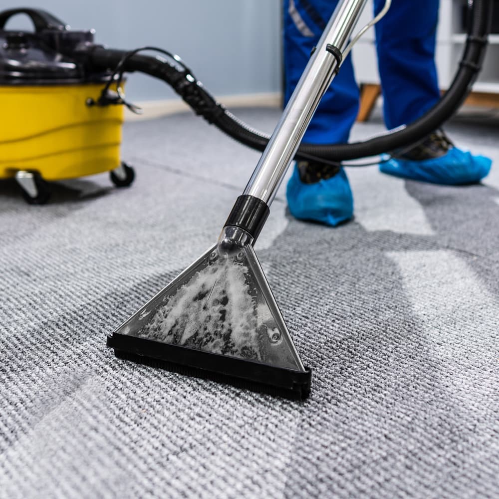 Teppichreinigung in Regensburg und Amberg